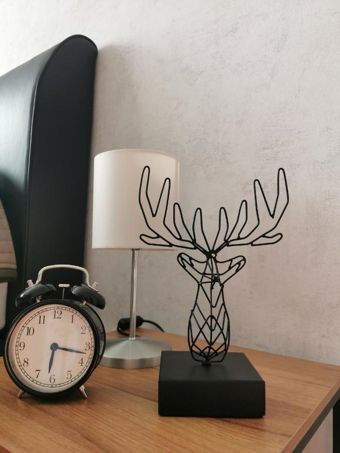 Ferienwohnung Luise Mit Separater Kueche Naumburg  Exteriör bild